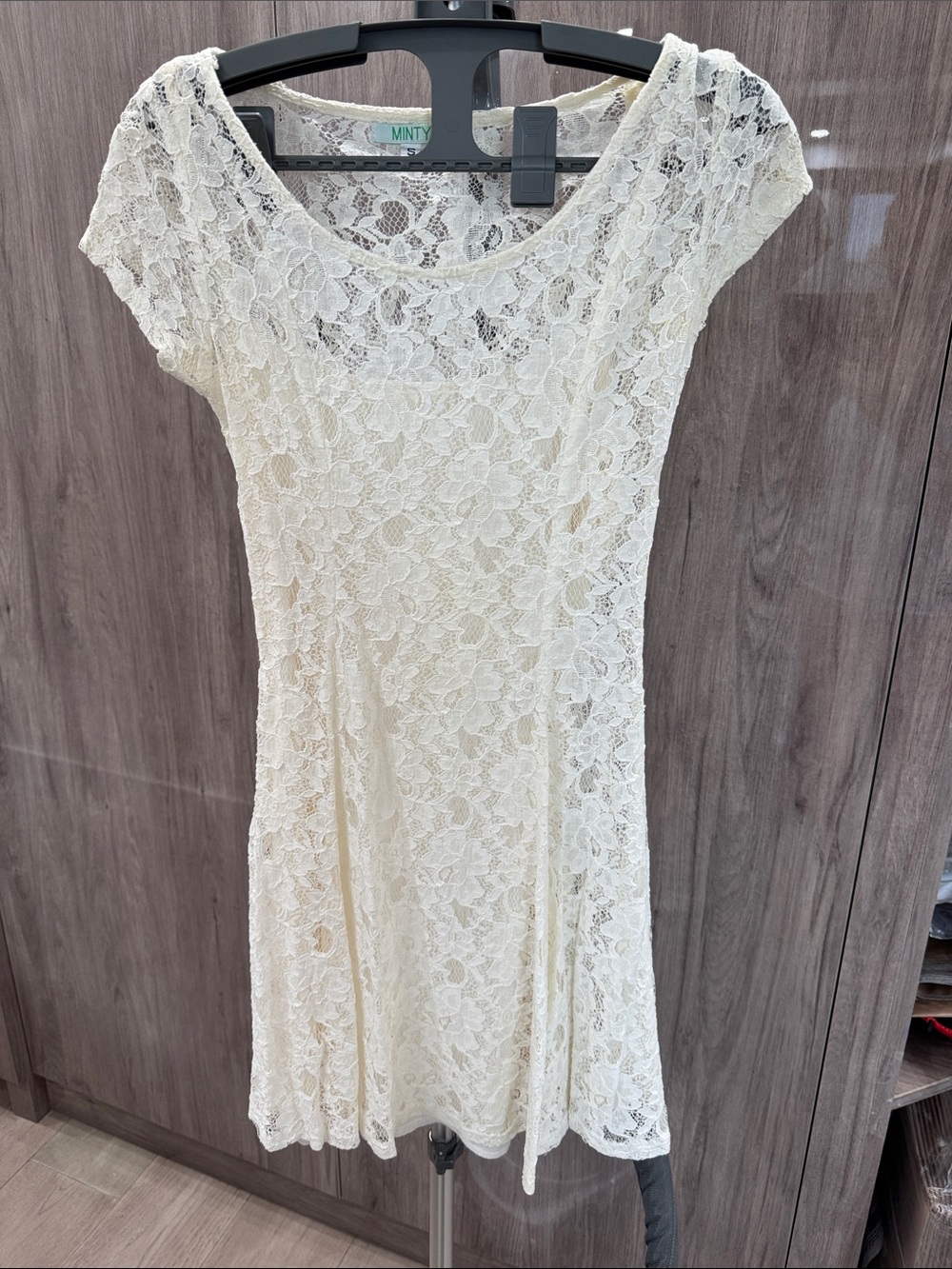 Minty Ivory Lace Mini Dress with Cap Sleeves